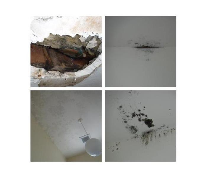 Photo shows different mold growing on ceilings and top of walls after the rain